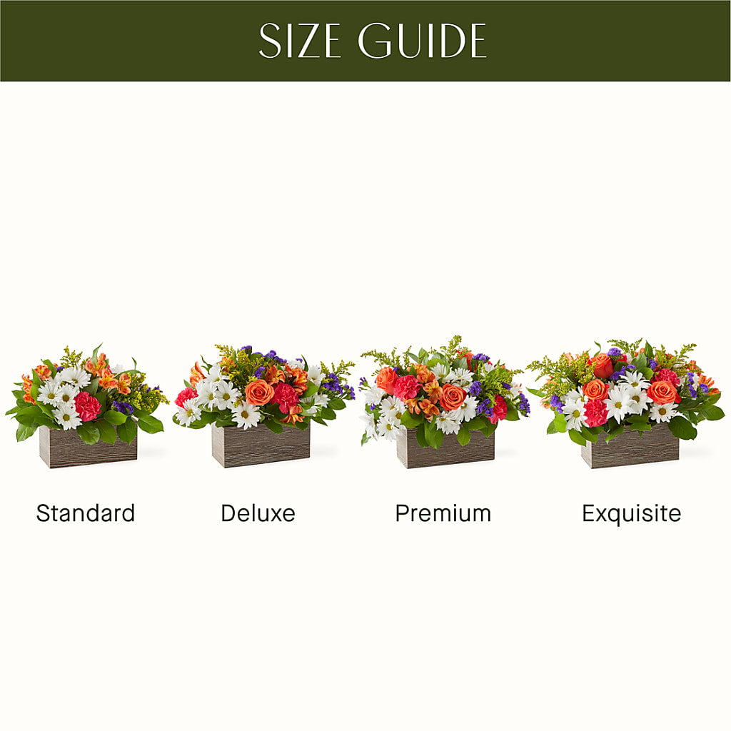 Oopsie Daisy Box Bouquet –  Maison Blooms, Wesley Chapel FL