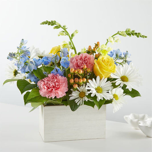 Sun Salutation Box Bouquet –  Maison Blooms, Wesley Chapel FL