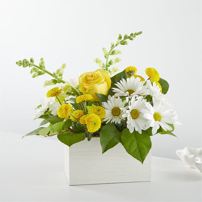 Sun Salutation Box Bouquet –  Maison Blooms, Wesley Chapel FL