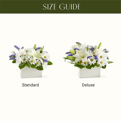 Beyond Blue Box Bouquet –  Maison Blooms, Wesley Chapel FL