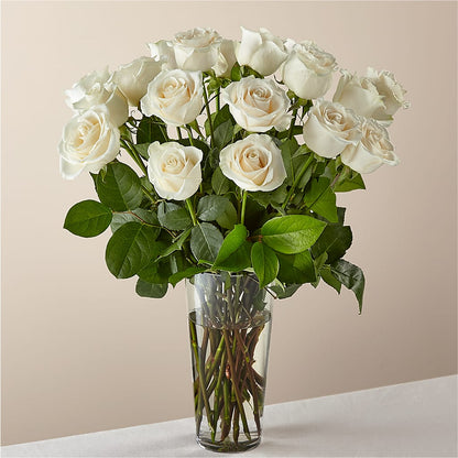 Long Stem White Rose Bouquet –  Maison Blooms, Wesley Chapel FL