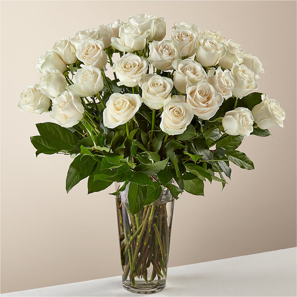 Long Stem White Rose Bouquet –  Maison Blooms, Wesley Chapel FL