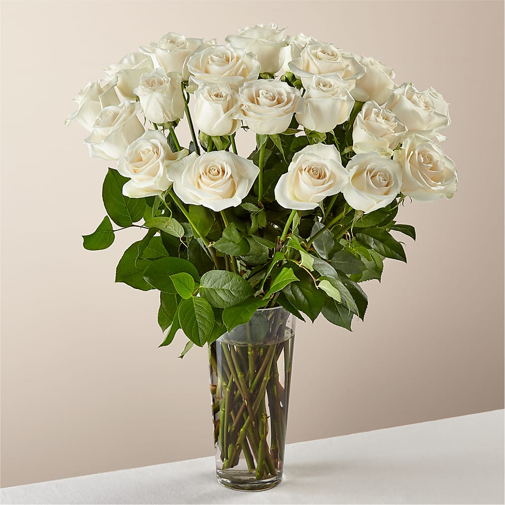 Long Stem White Rose Bouquet –  Maison Blooms, Wesley Chapel FL