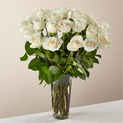 Long Stem White Rose Bouquet –  Maison Blooms, Wesley Chapel FL
