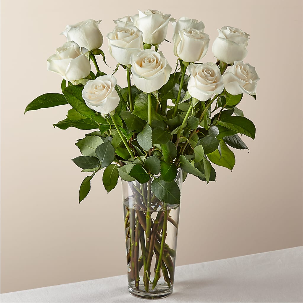 Long Stem White Rose Bouquet –  Maison Blooms, Wesley Chapel FL