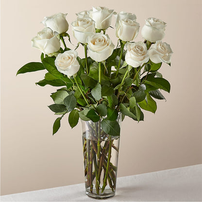 Long Stem White Rose Bouquet –  Maison Blooms, Wesley Chapel FL