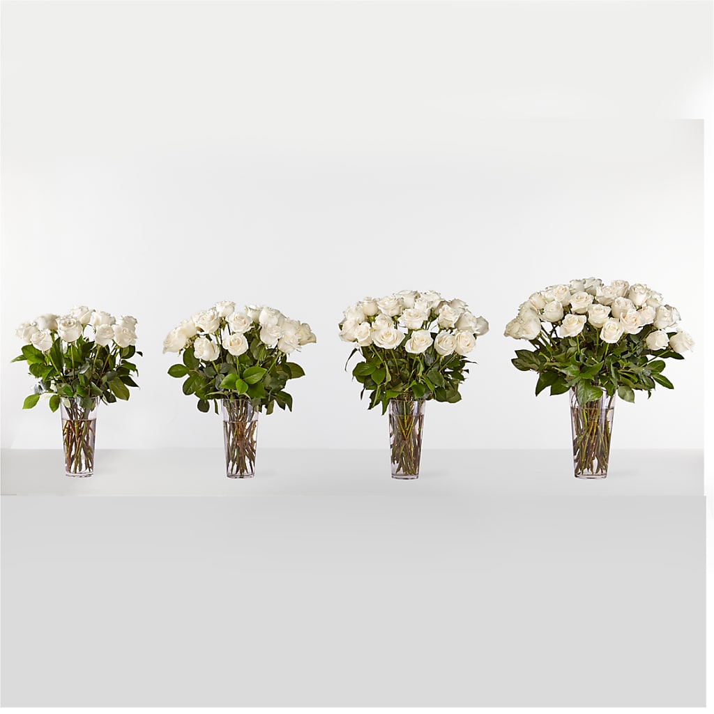 Long Stem White Rose Bouquet –  Maison Blooms, Wesley Chapel FL
