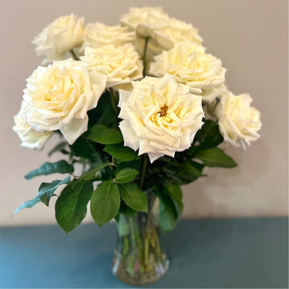 Long Stem Yellow Rose Bouquet –  Maison Blooms, Wesley Chapel FL