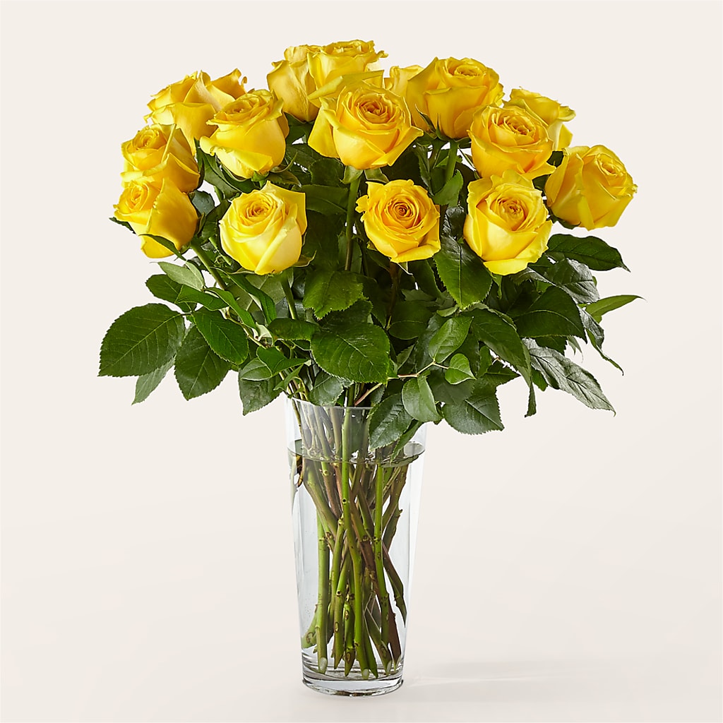 Long Stem Yellow Rose Bouquet –  Maison Blooms, Wesley Chapel FL