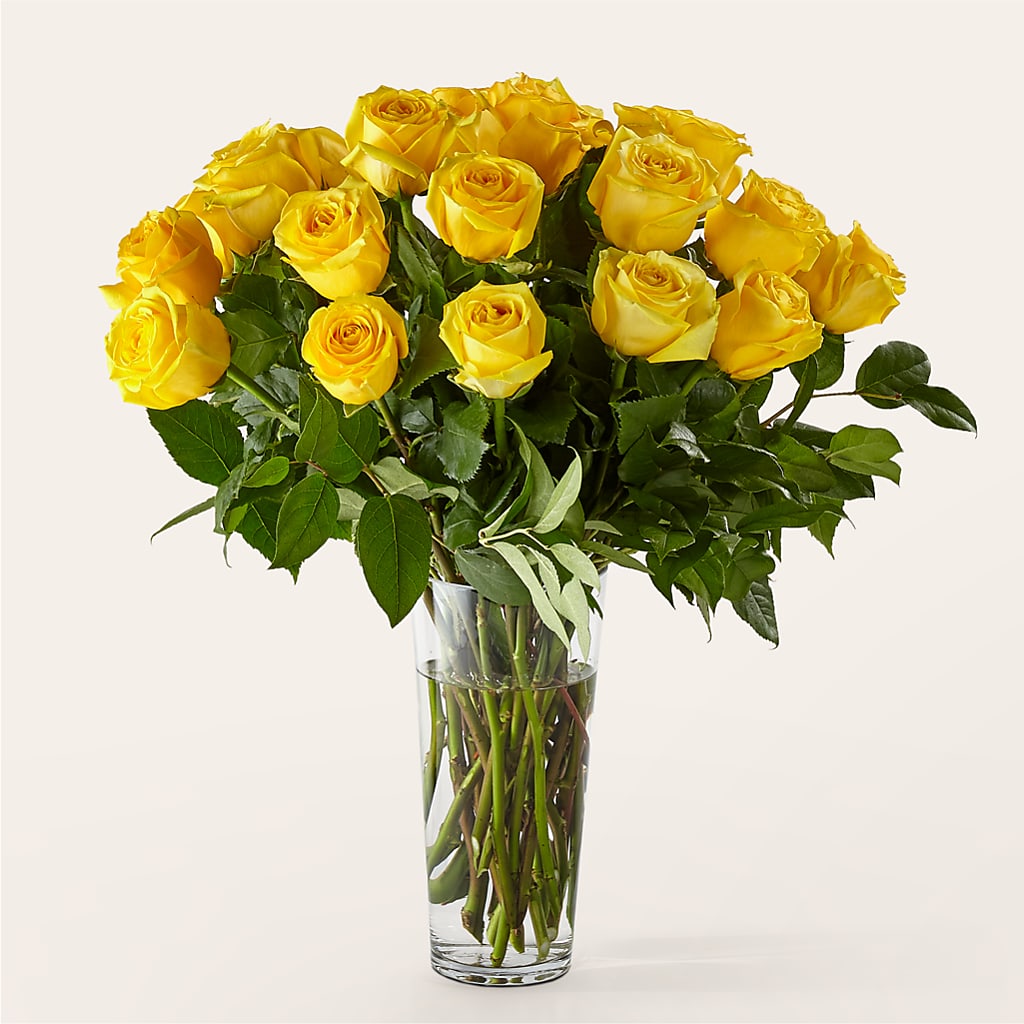 Long Stem Yellow Rose Bouquet –  Maison Blooms, Wesley Chapel FL