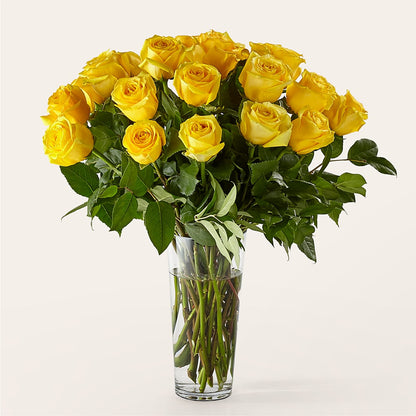 Long Stem Yellow Rose Bouquet –  Maison Blooms, Wesley Chapel FL