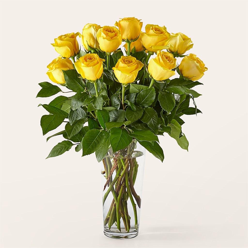 Long Stem Yellow Rose Bouquet –  Maison Blooms, Wesley Chapel FL