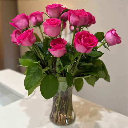 Long Stem Pink Rose Bouquet –  Maison Blooms, Wesley Chapel FL