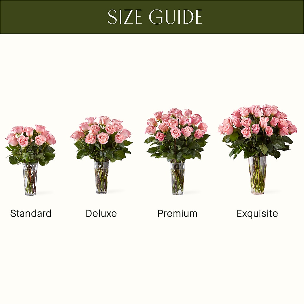Long Stem Pink Rose Bouquet –  Maison Blooms, Wesley Chapel FL