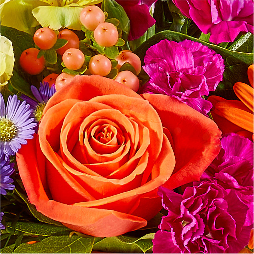 Tricks & Treats Pumpkin –  Maison Blooms, Wesley Chapel FL