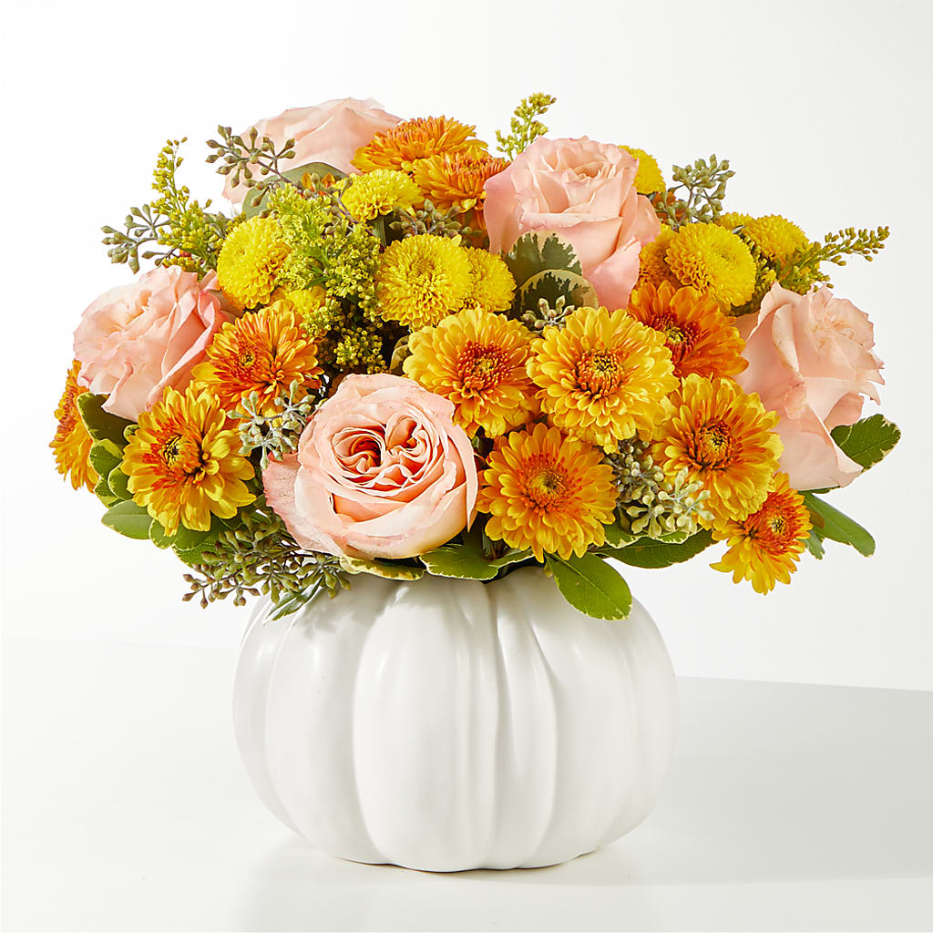 Peachy Pumpkin –  Maison Blooms, Wesley Chapel FL