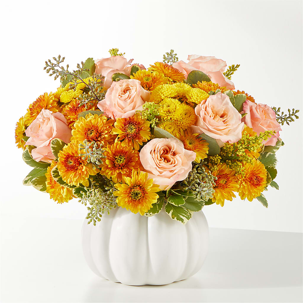 Peachy Pumpkin –  Maison Blooms, Wesley Chapel FL