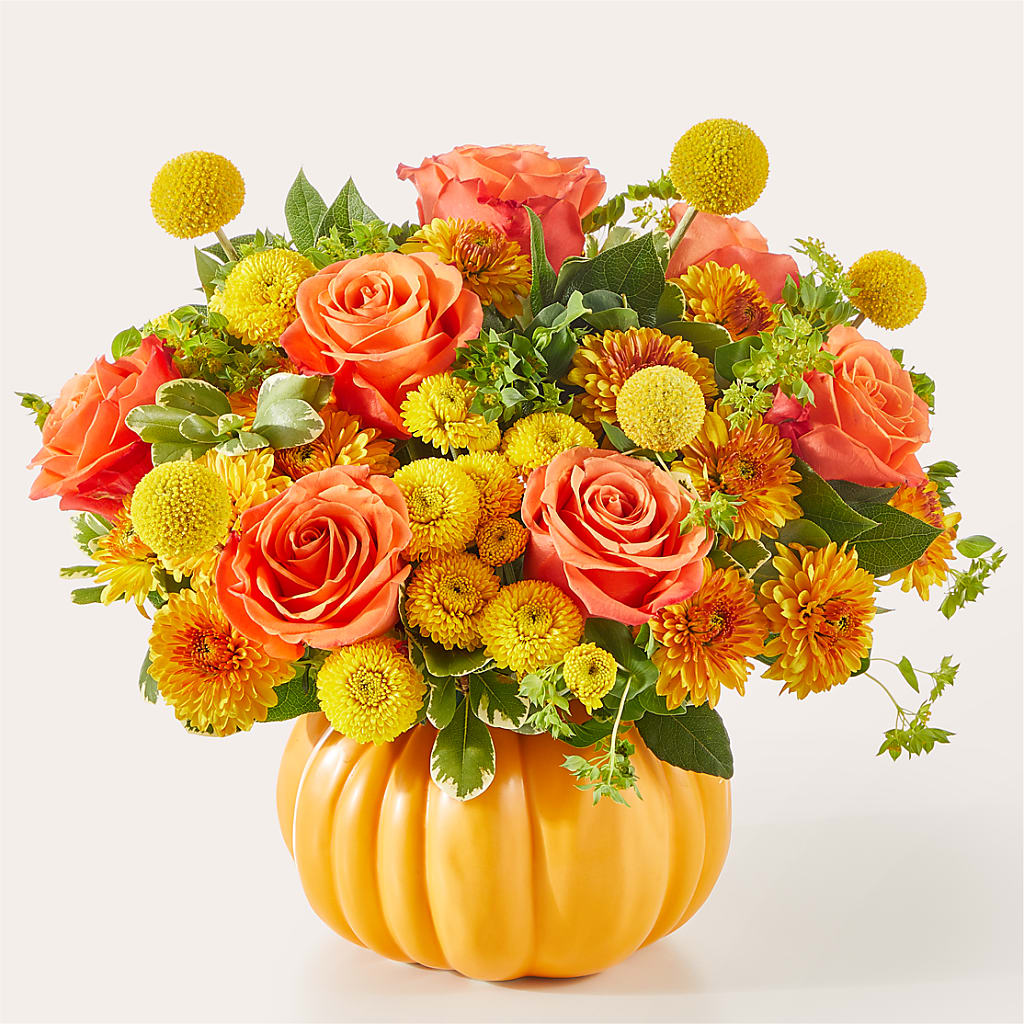 Gourdgeous Pumpkin –  Maison Blooms, Wesley Chapel FL