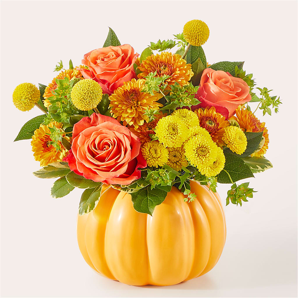 Gourdgeous Pumpkin –  Maison Blooms, Wesley Chapel FL
