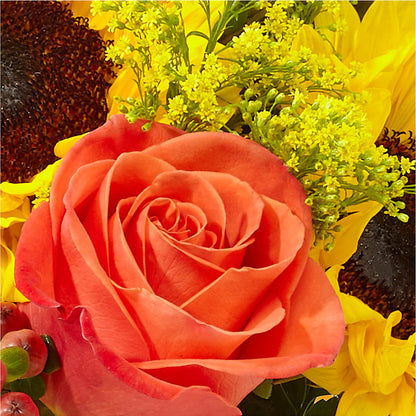 Pick of the Patch Pumpkin Bouquet –  Maison Blooms, Wesley Chapel FL