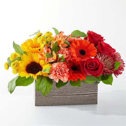 Autumn Orchard Bouquet –  Maison Blooms, Wesley Chapel FL