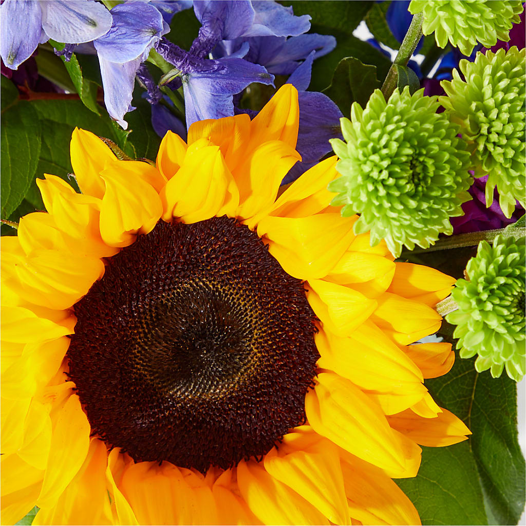 Catching Rays Bouquet –  Maison Blooms, Wesley Chapel FL