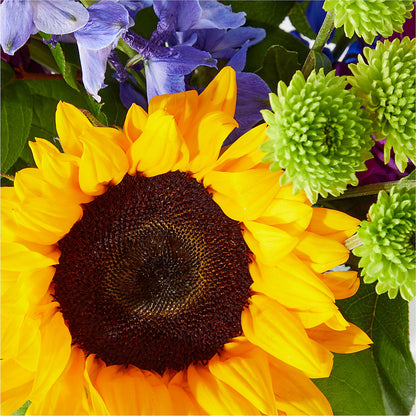 Catching Rays Bouquet –  Maison Blooms, Wesley Chapel FL