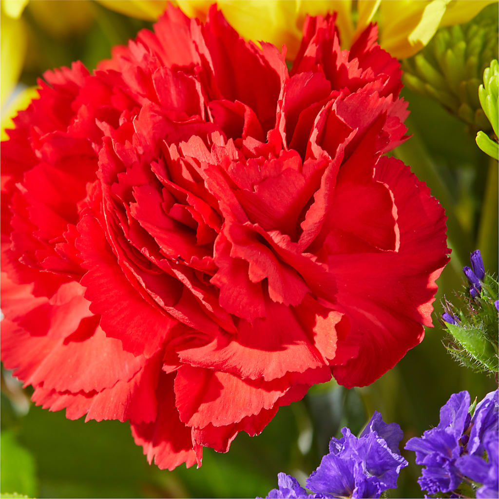 Brighter Days Bouquet –  Maison Blooms, Wesley Chapel FL