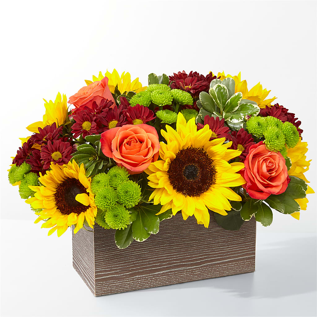 Happy Harvest Garden –  Maison Blooms, Wesley Chapel FL