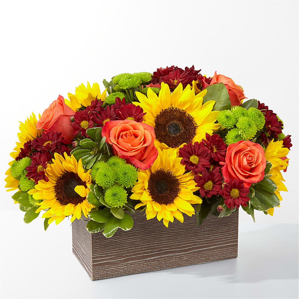 Happy Harvest Garden –  Maison Blooms, Wesley Chapel FL