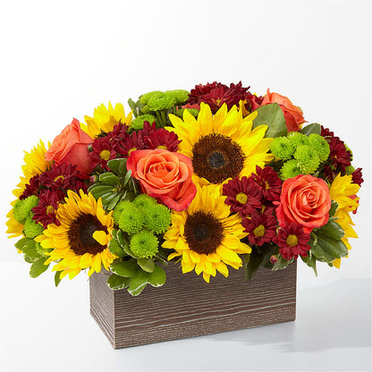 Happy Harvest Garden –  Maison Blooms, Wesley Chapel FL
