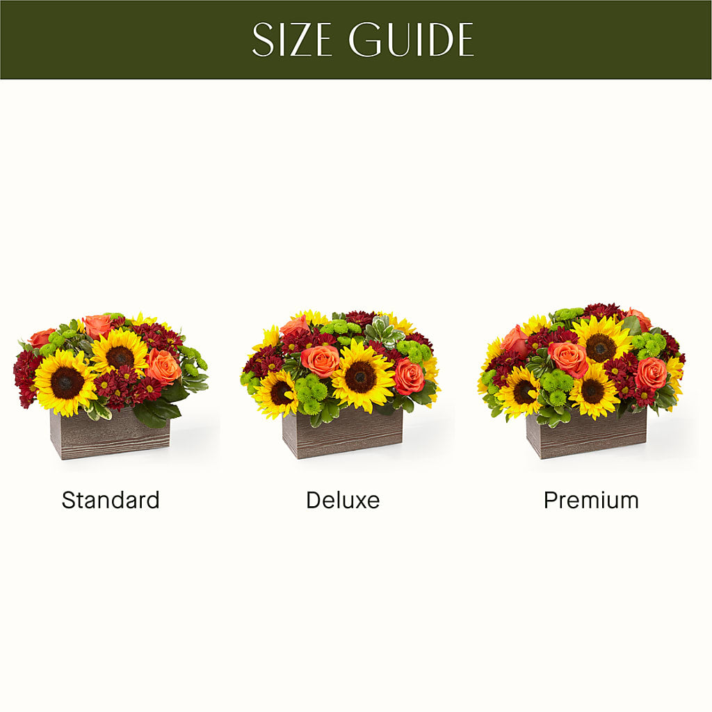 Happy Harvest Garden –  Maison Blooms, Wesley Chapel FL