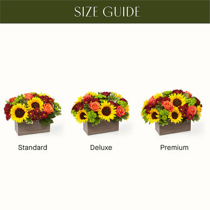 Happy Harvest Garden –  Maison Blooms, Wesley Chapel FL