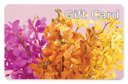 Gift Card –  Maison Blooms, Wesley Chapel FL