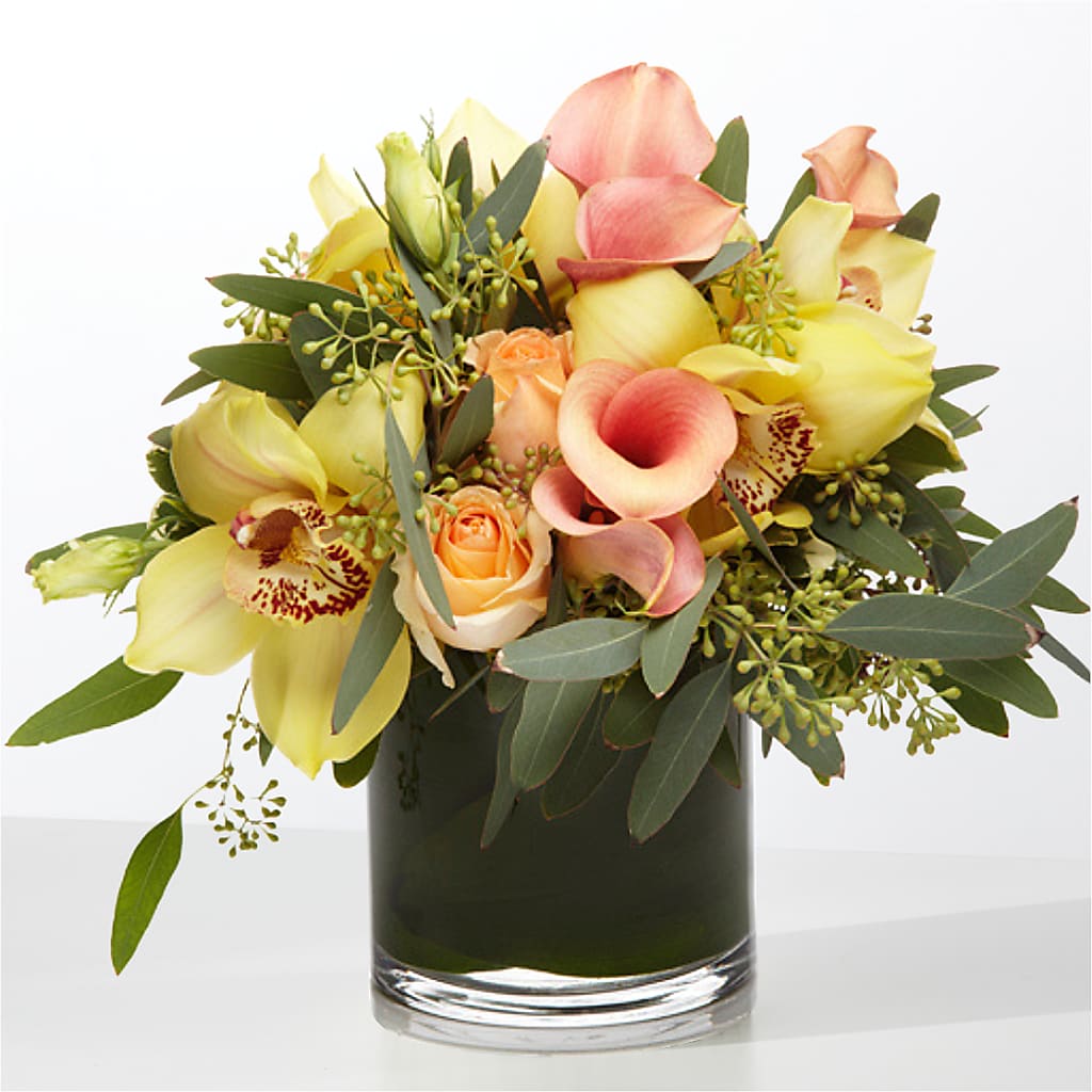 The Visionary –  Maison Blooms, Wesley Chapel FL