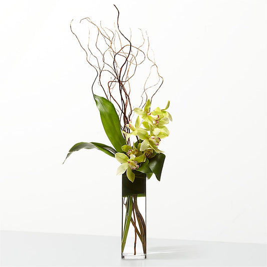 The Statement –  Maison Blooms, Wesley Chapel FL