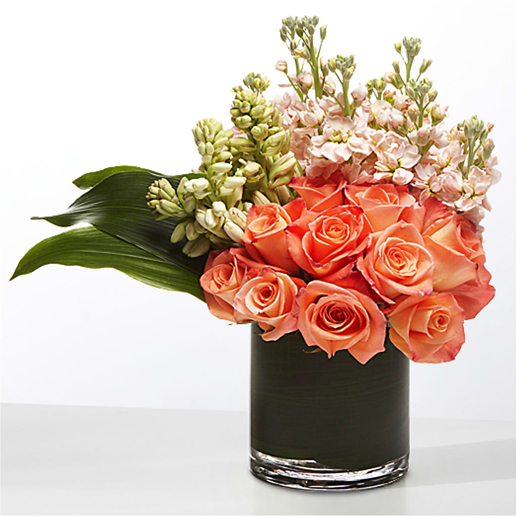 The Moment –  Maison Blooms, Wesley Chapel FL