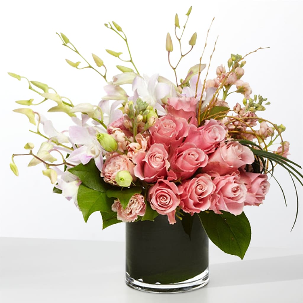 The Muse –  Maison Blooms, Wesley Chapel FL