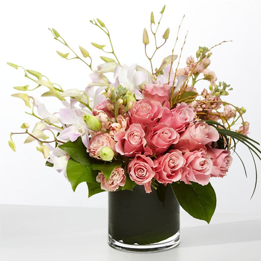 The Muse –  Maison Blooms, Wesley Chapel FL