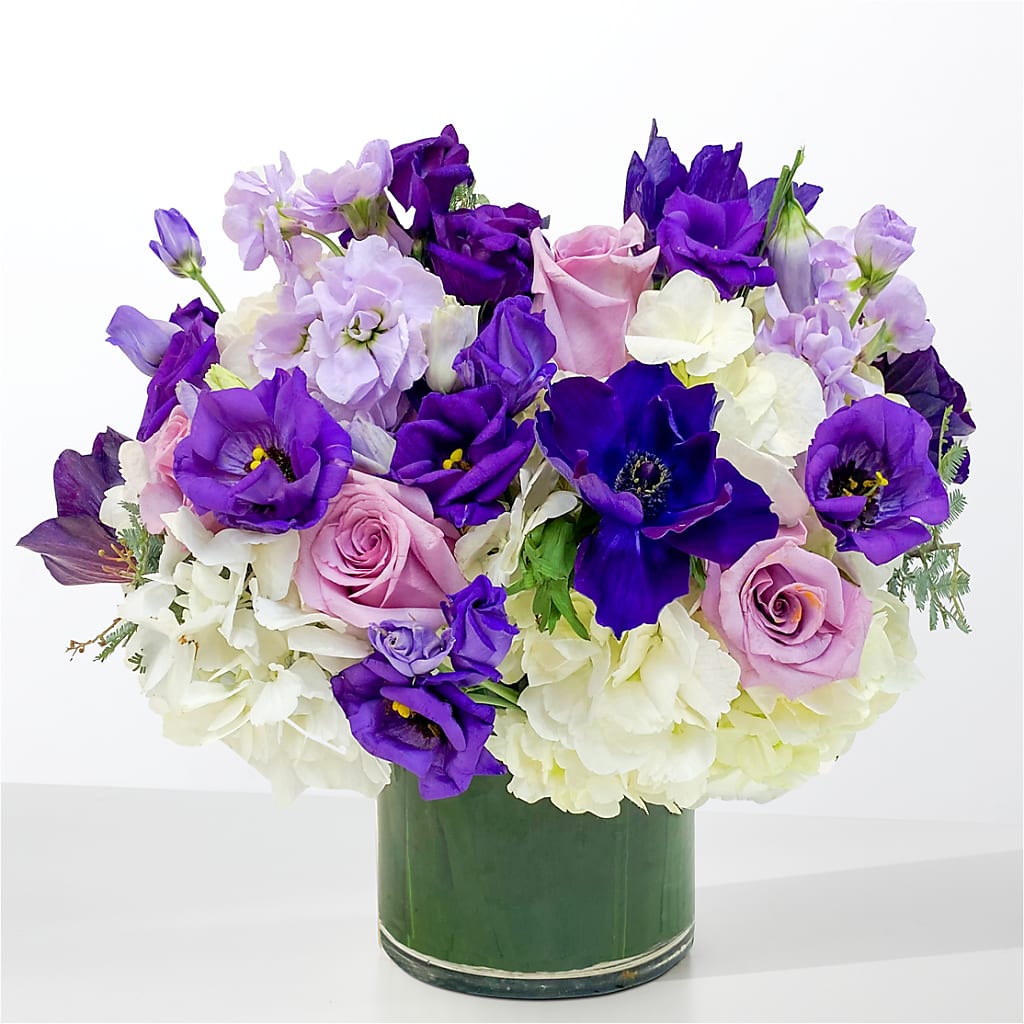 The Gemstone –  Maison Blooms, Wesley Chapel FL