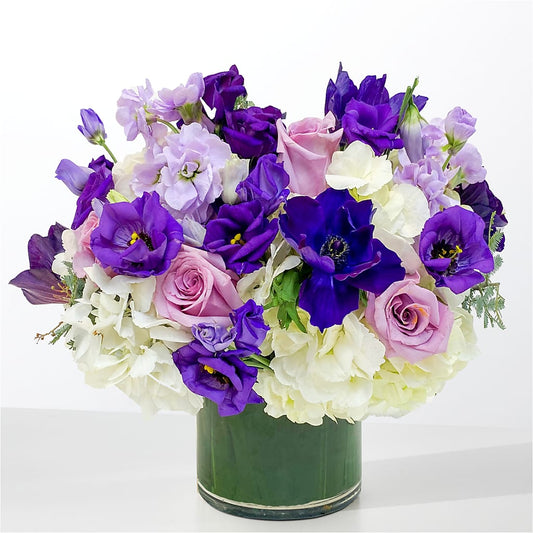The Gemstone –  Maison Blooms, Wesley Chapel FL