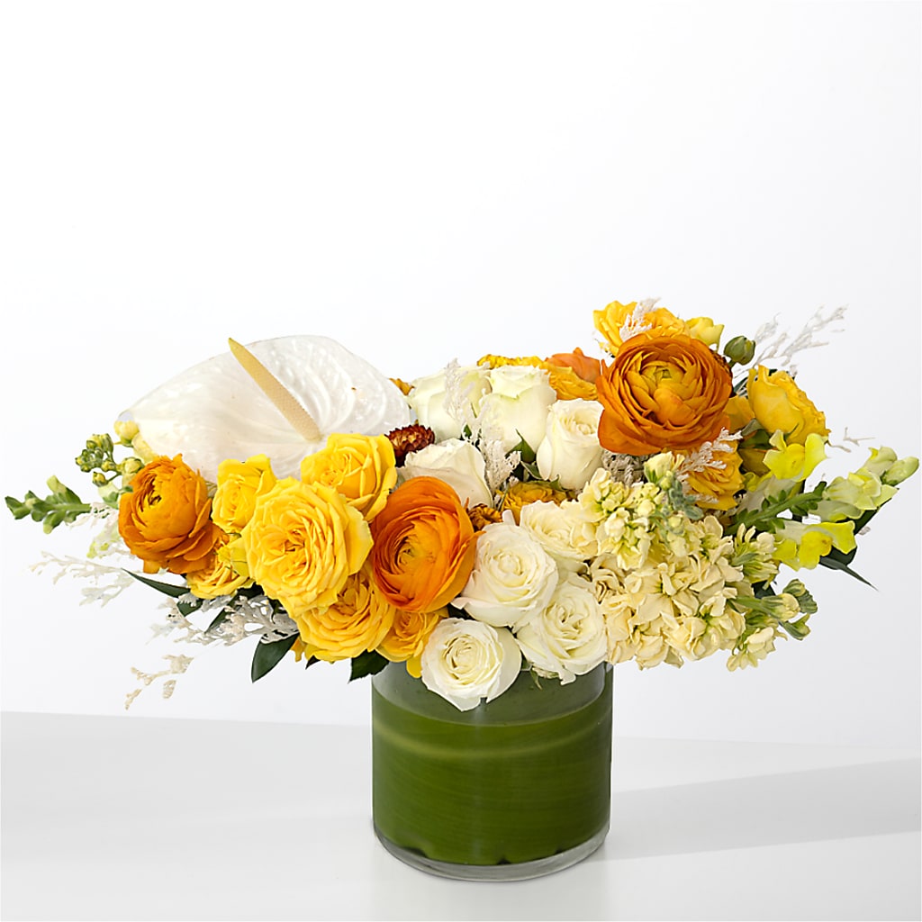 The Optimist –  Maison Blooms, Wesley Chapel FL