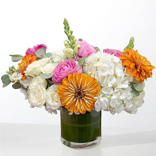 The Meet Cute –  Maison Blooms, Wesley Chapel FL