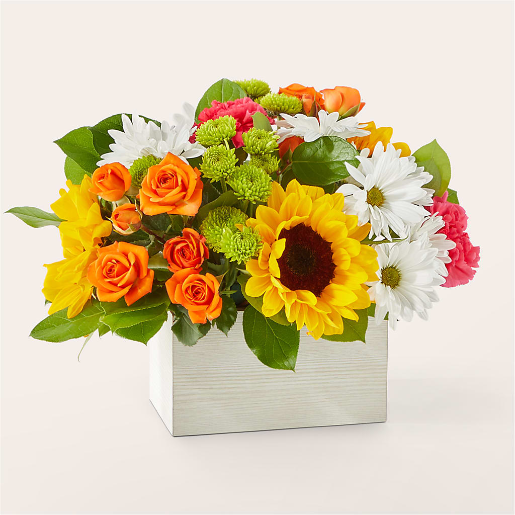 Sun-drenched Blooms Box Bouquet –  Maison Blooms, Wesley Chapel FL