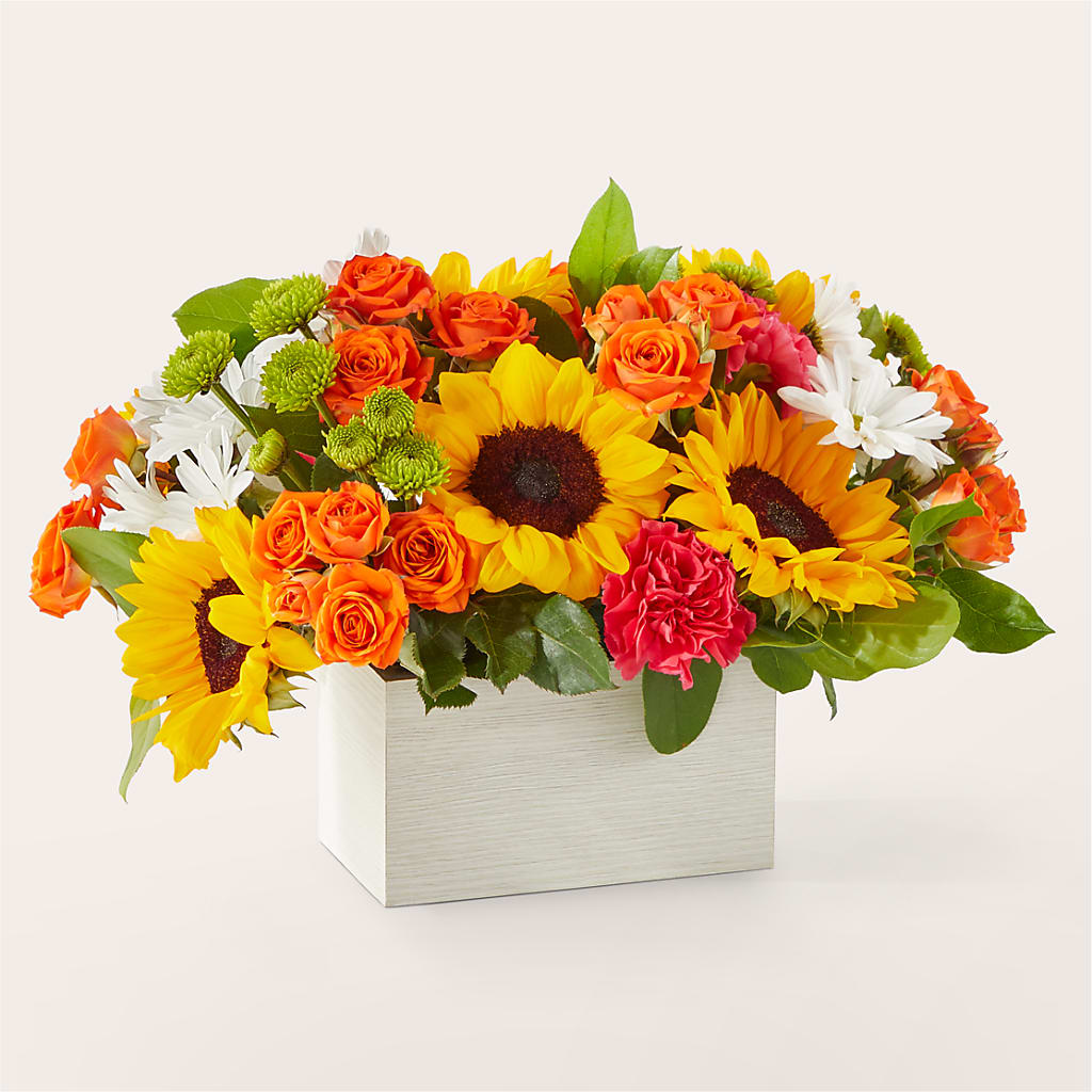 Sun-drenched Blooms Box Bouquet –  Maison Blooms, Wesley Chapel FL
