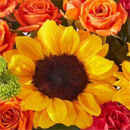 Sun-drenched Blooms Box Bouquet –  Maison Blooms, Wesley Chapel FL