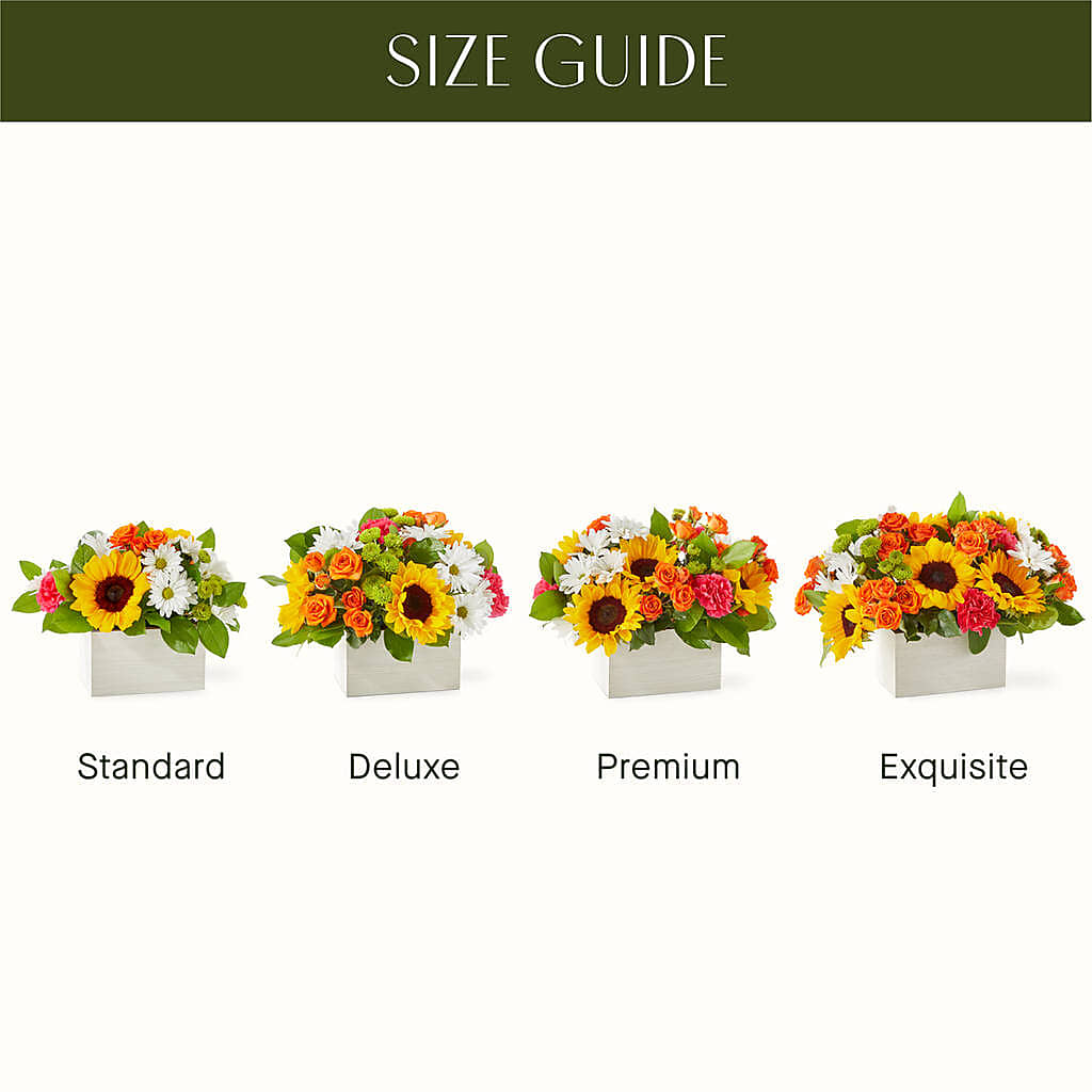Sun-drenched Blooms Box Bouquet –  Maison Blooms, Wesley Chapel FL
