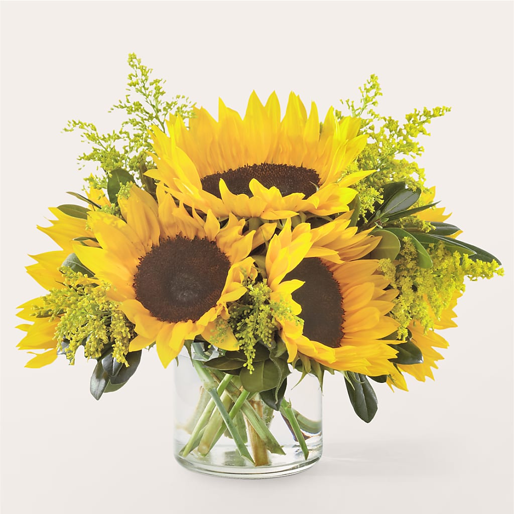 Beaming Sunflower Bouquet –  Maison Blooms, Wesley Chapel FL