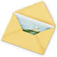 Greeting Card –  Maison Blooms, Wesley Chapel FL