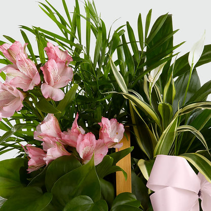 Living Spirit Dishgarden –  Maison Blooms, Wesley Chapel FL